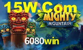 Programa VIP 6080win