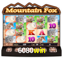 6080win.com